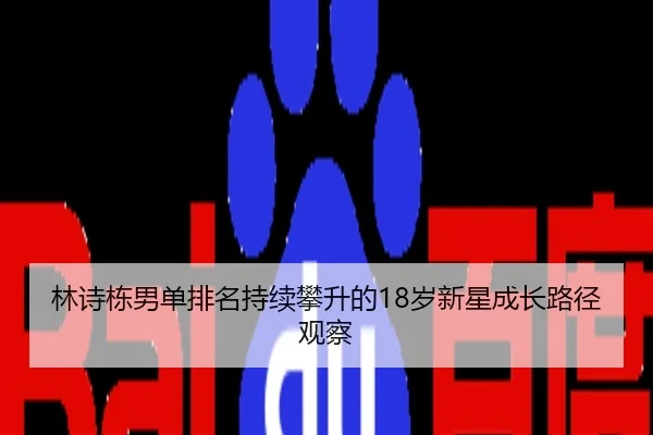 林诗栋男单排名持续攀升的18岁新星成长路径观察